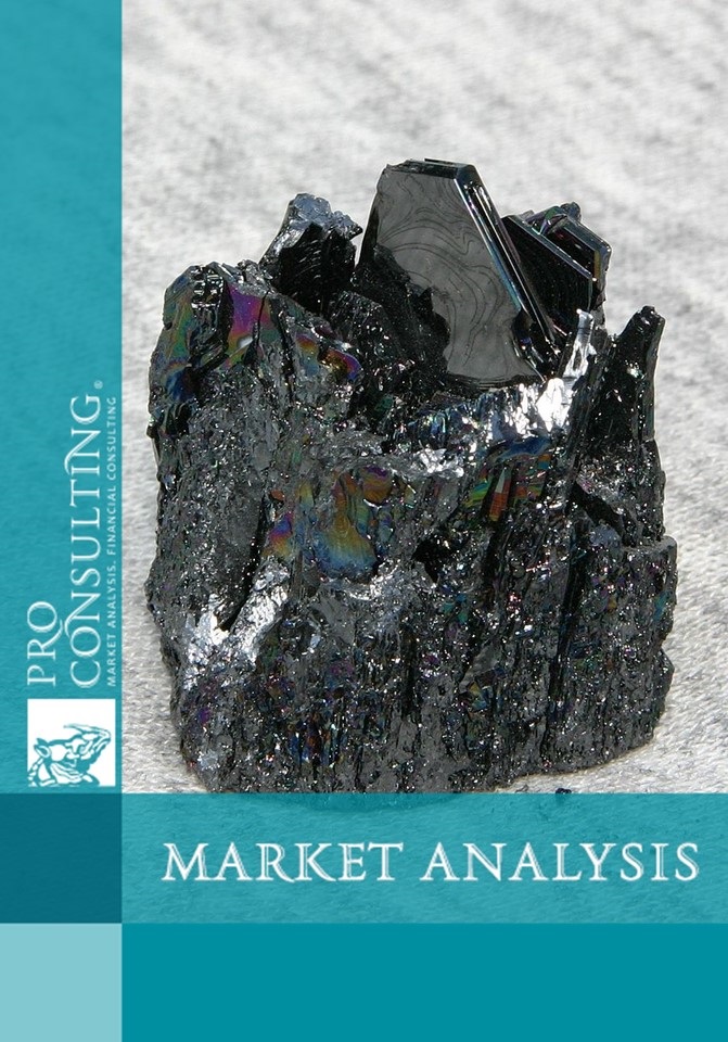 Market research of pure silicon carbide Western Europe. 2012